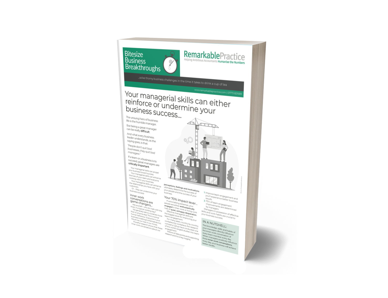 BB Build Great Manager Skills 3D RPL